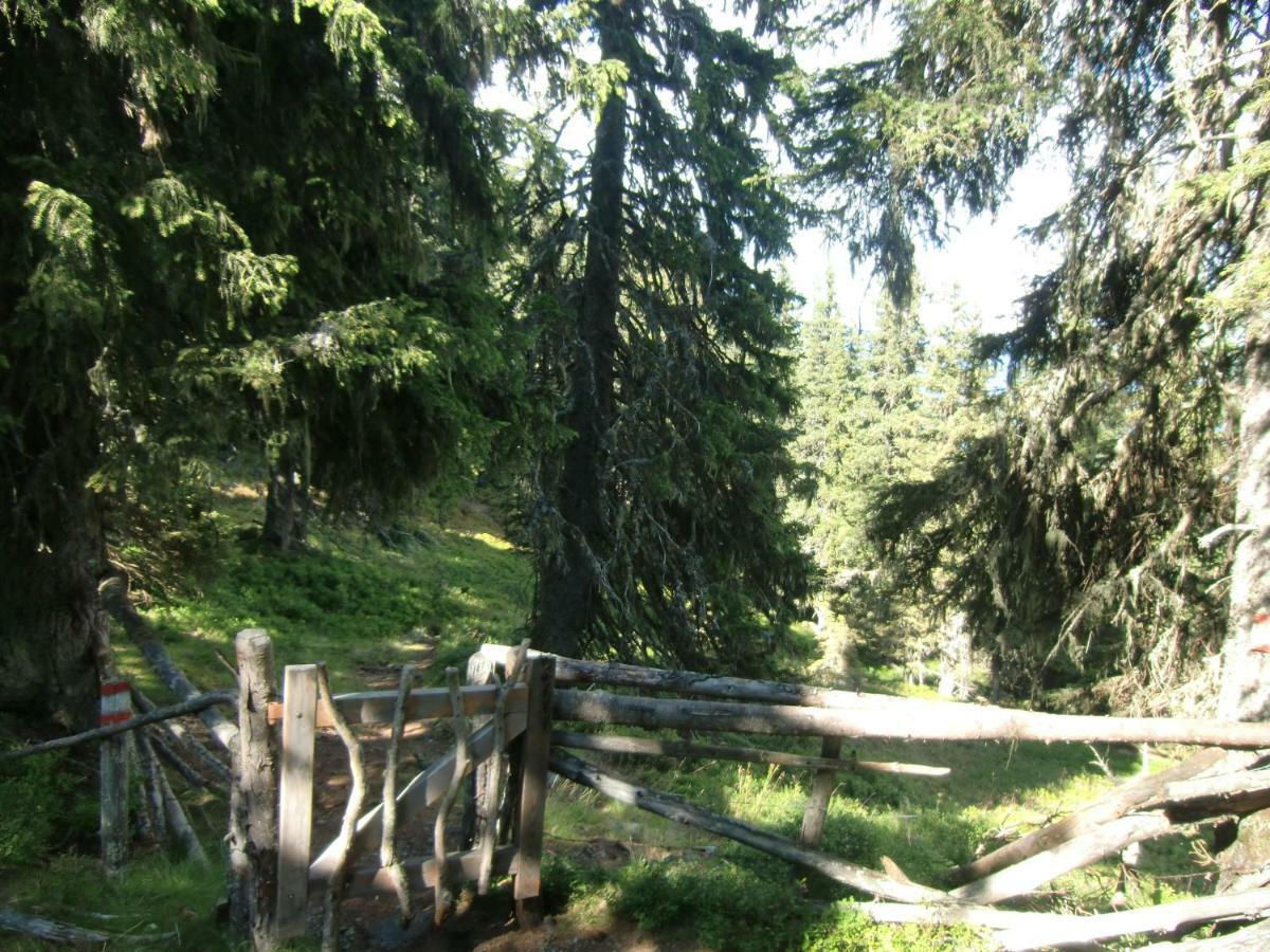 Apartmán Bea